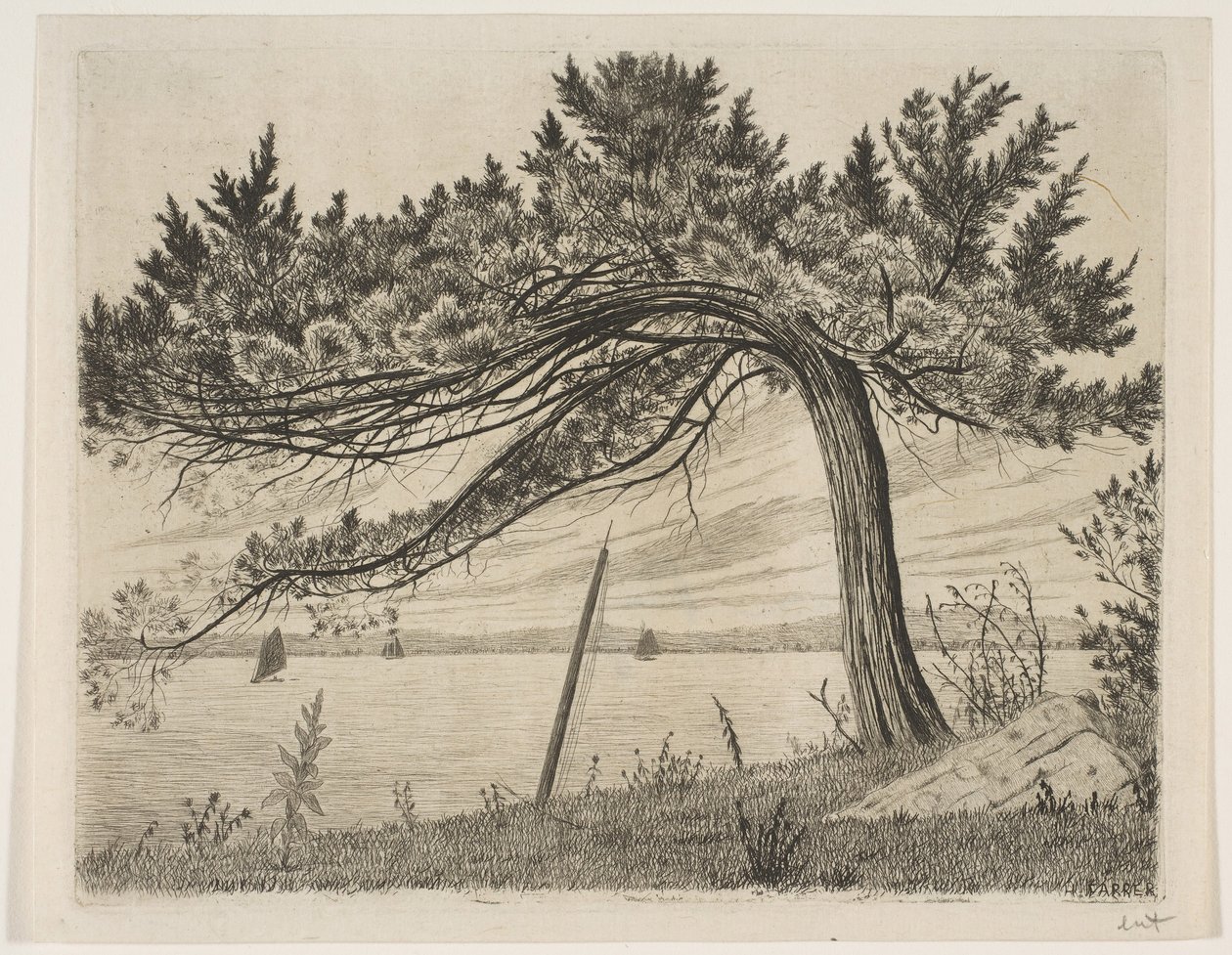 Zatoka Pelham, ca. 1875. autorstwa Henry Farrer