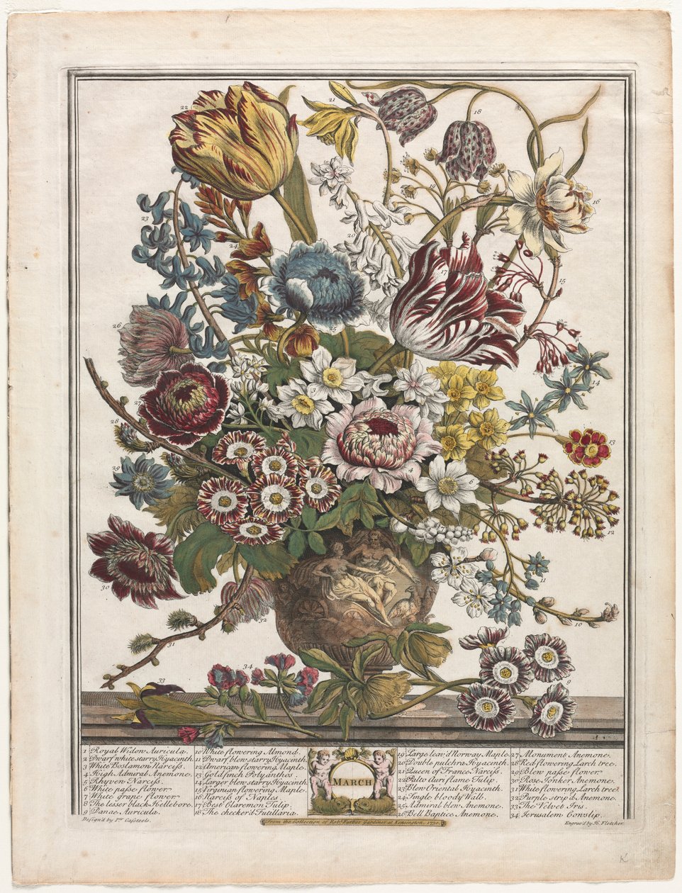 Dwanaście miesięcy kwiatów: marzec 1730. autorstwa Henry Fletcher