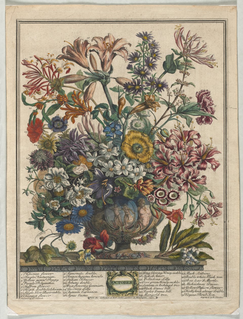 Dwanaście miesięcy kwiatów: październik 1730. autorstwa Henry Fletcher