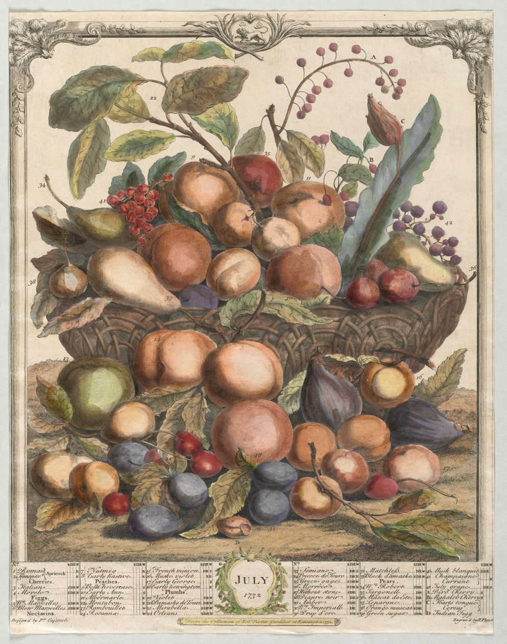 Dwanaście miesięcy owocowania: lipiec 1732. autorstwa Henry Fletcher