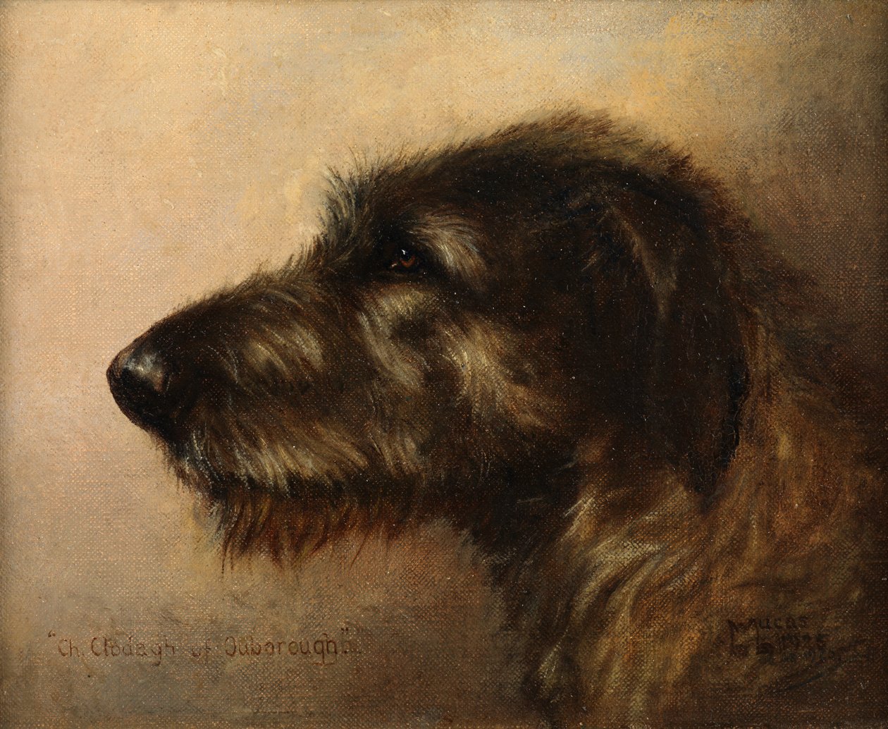 Champion Clodagh z Ouborough, Wilczarz Irlandzki autorstwa Henry Frederick Lucas Lucas