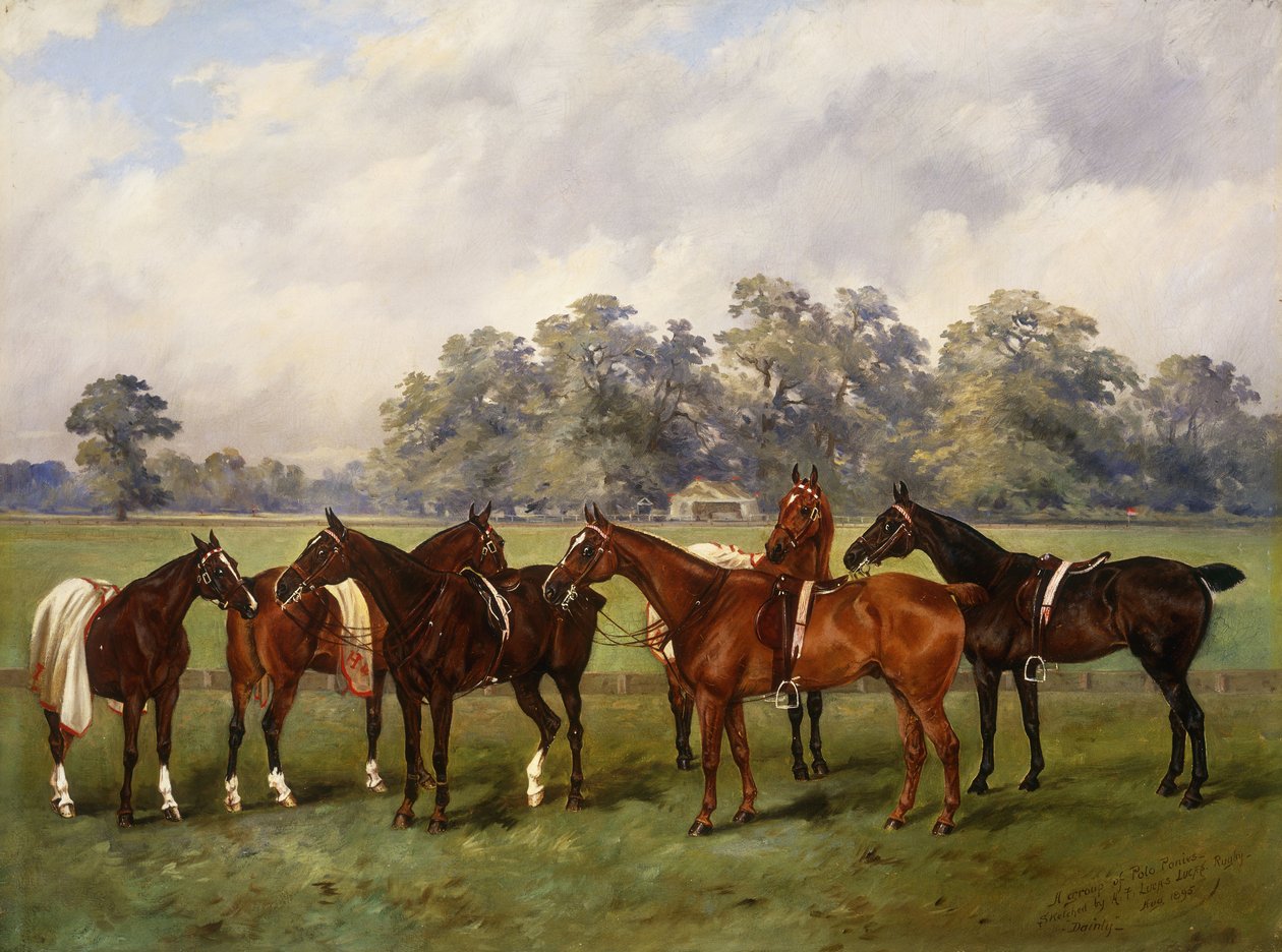 Grupa kucyków Polo, Dainty, Gold, Redskin, Miss Edge i Piper, własność Sir Humphrey de Trafford, Bart, 1895 autorstwa Henry Frederick Lucas Lucas