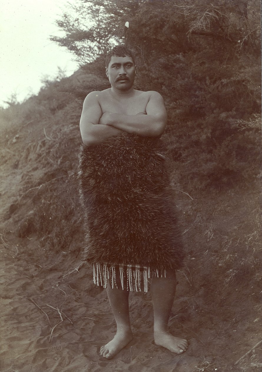 Studium Maorysów, ok. 1910 (odbitka żelatynowo-srebrowa) autorstwa Henry Gaze
