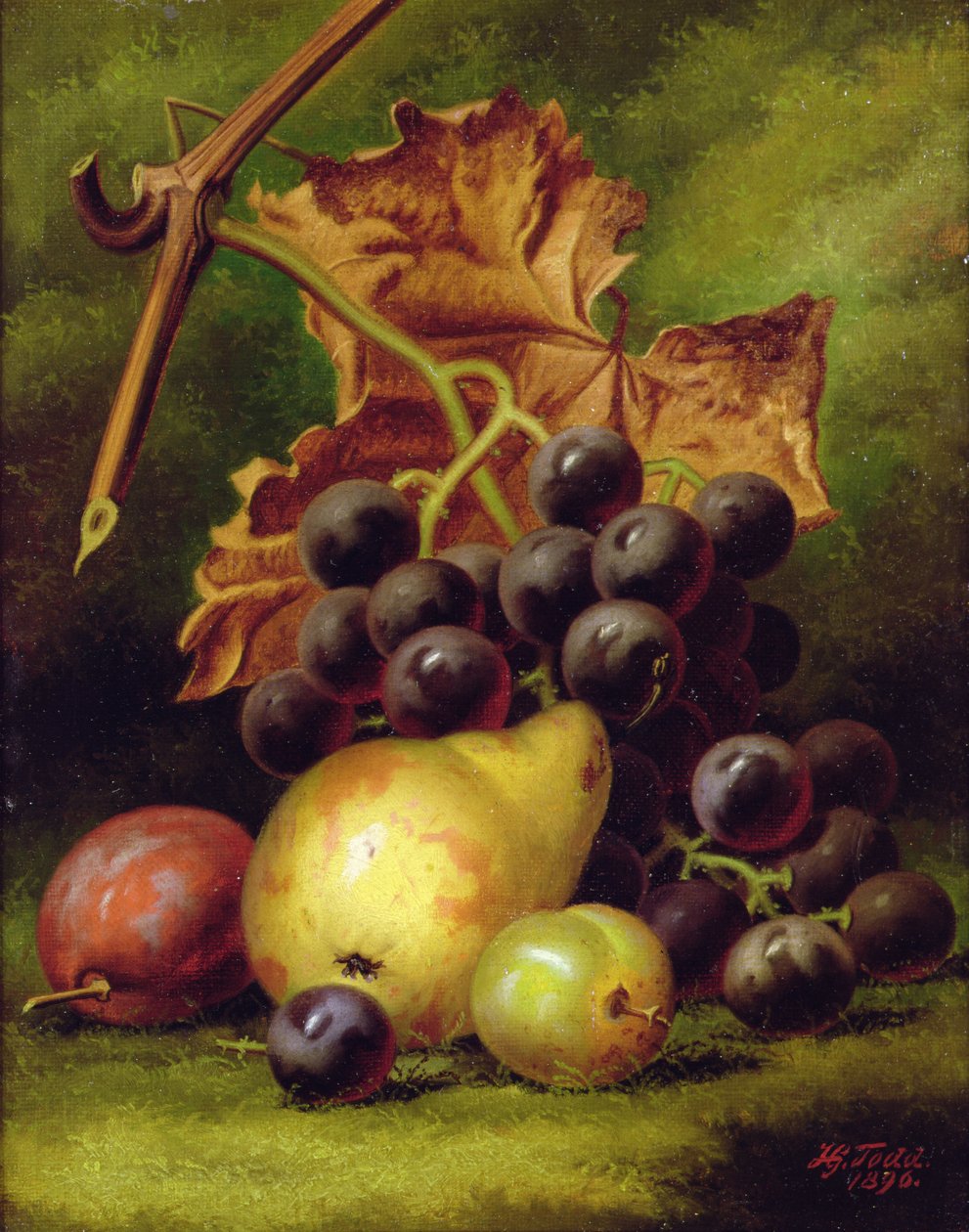 Martwa natura autorstwa Henry George Todd