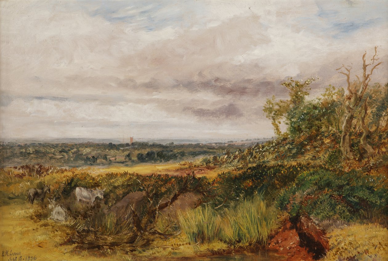 Krajobraz, 1856 autorstwa Henry Harris Lines
