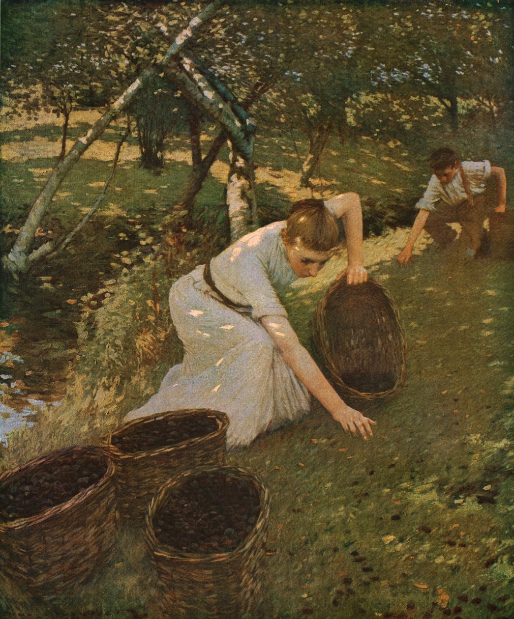 Zbieranie śliwek, 1901, ok. 1930. autorstwa Henry Herbert La Thangue
