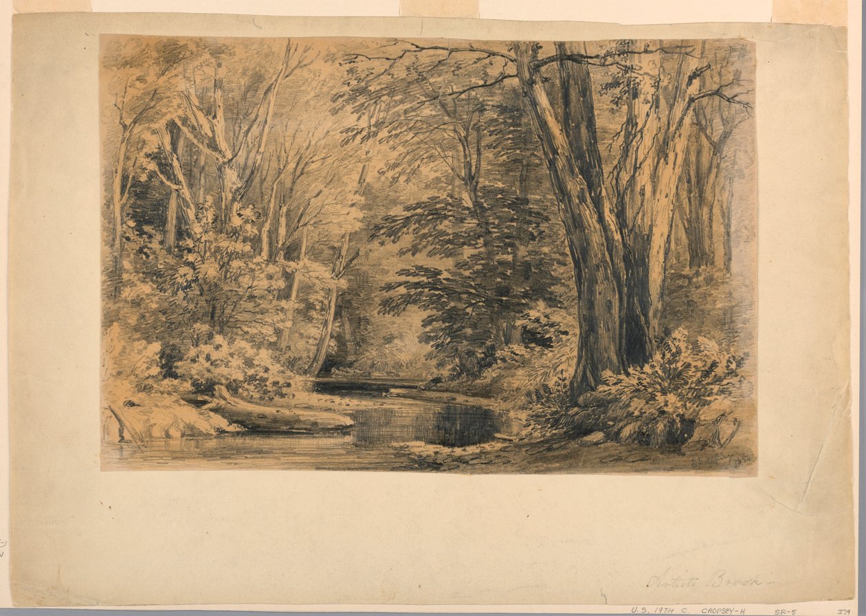 Rysunek, Potok w lesie, 1854 r. autorstwa Henry Hitchings