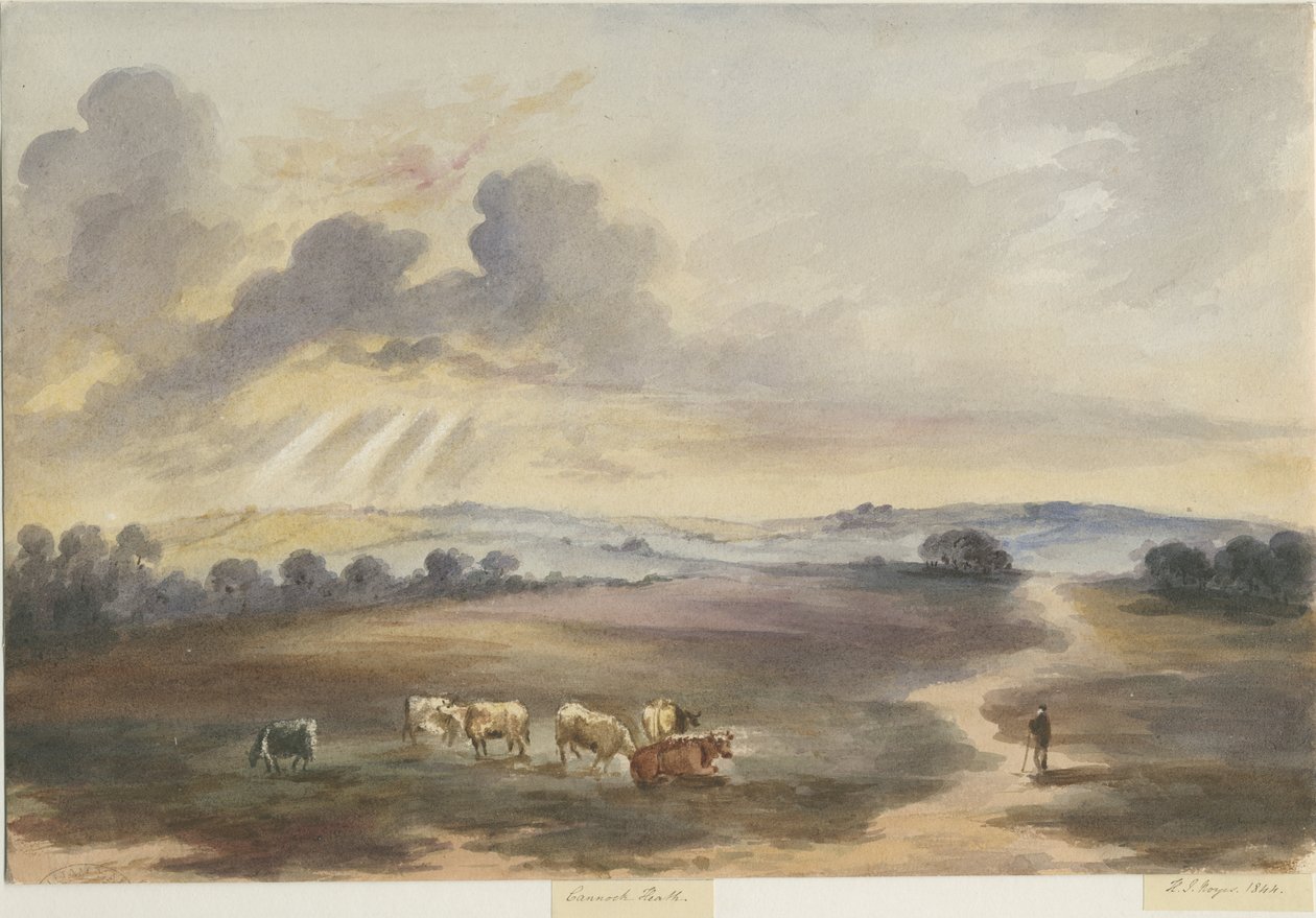Cannock Chase - "Heath" : obraz akwarelowy, 1844 autorstwa Henry James Noyes
