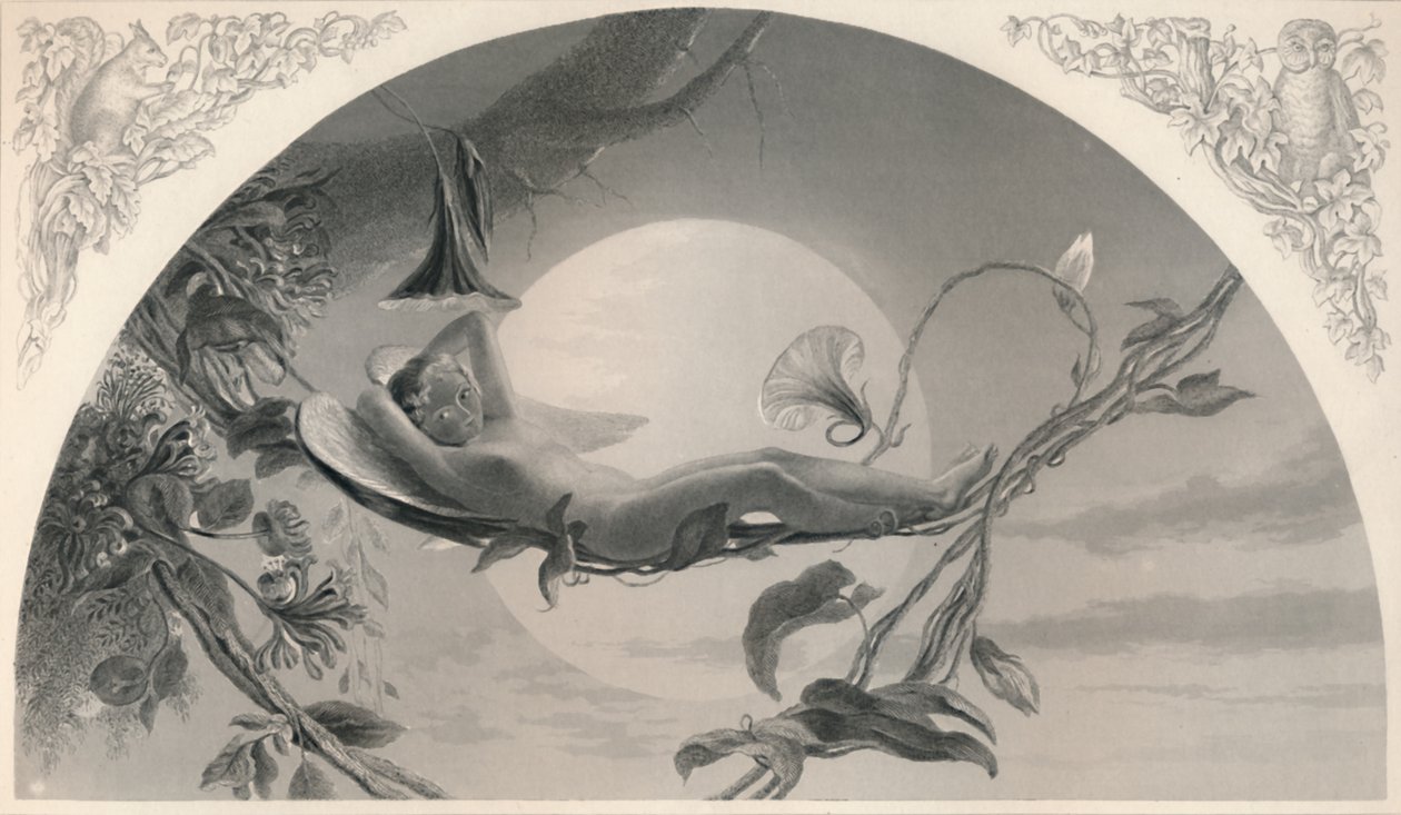 Ariel Burza, ok. 1870 r. autorstwa Henry James Townsend
