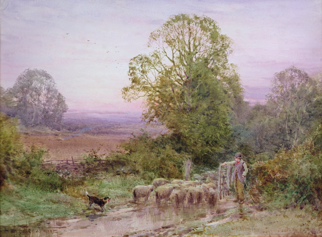 Wypasanie owiec (akwarela) autorstwa Henry John Sylvester Stannard