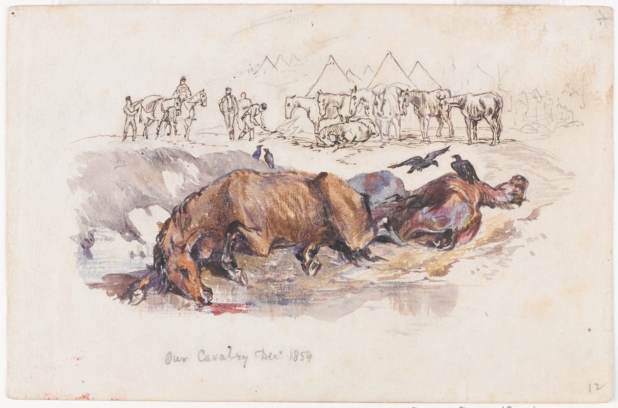Nasza kawaleria, martwe konie autorstwa Henry John Wilkinson