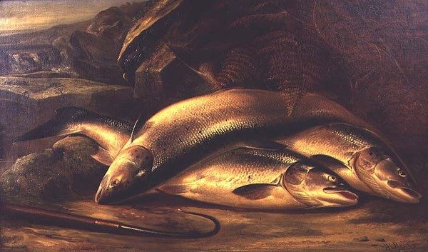 Martwa natura z łososiem autorstwa Henry Leonidas Rolfe