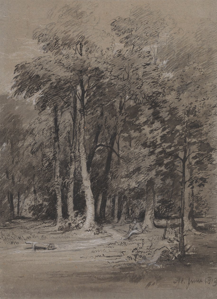 Zalesiony tor autorstwa Henry Monro