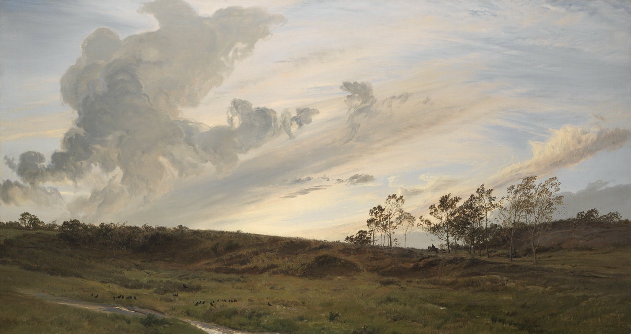 Uma noite selvagem depois da chuva, Yorkshirepolish autorstwa Henry Moore