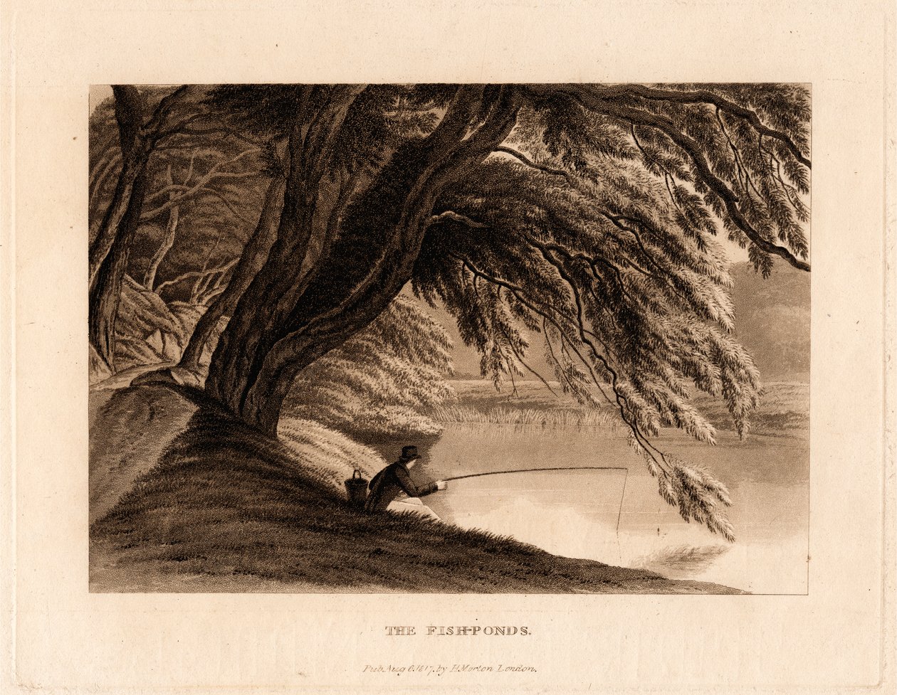 Stawy rybne autorstwa Henry Morton