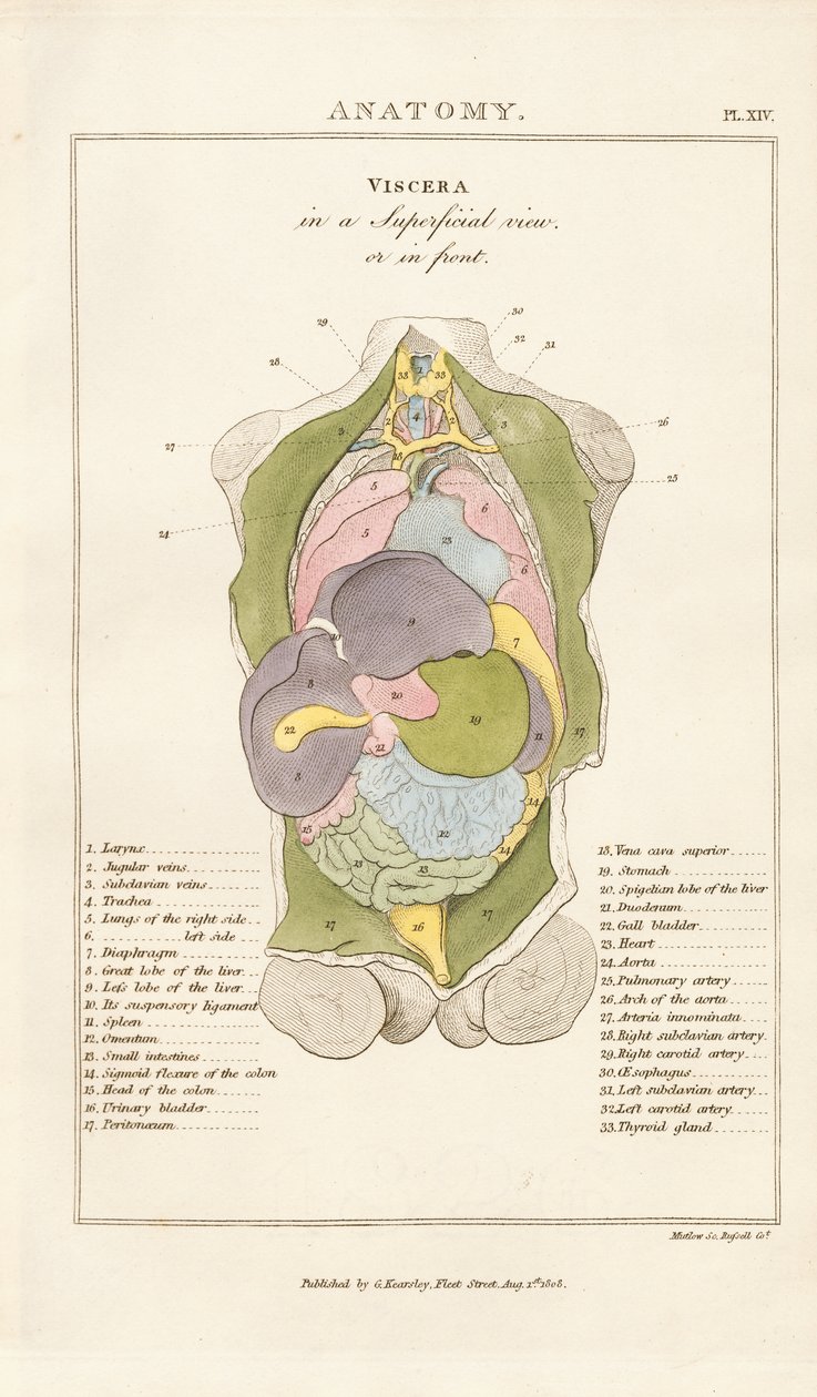  autorstwa Henry Mutlow