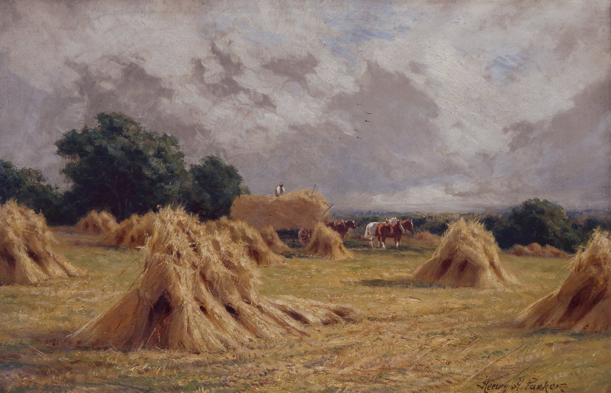 Pole kukurydzy w Harlow, Essex (olej na płótnie) autorstwa Henry Parker