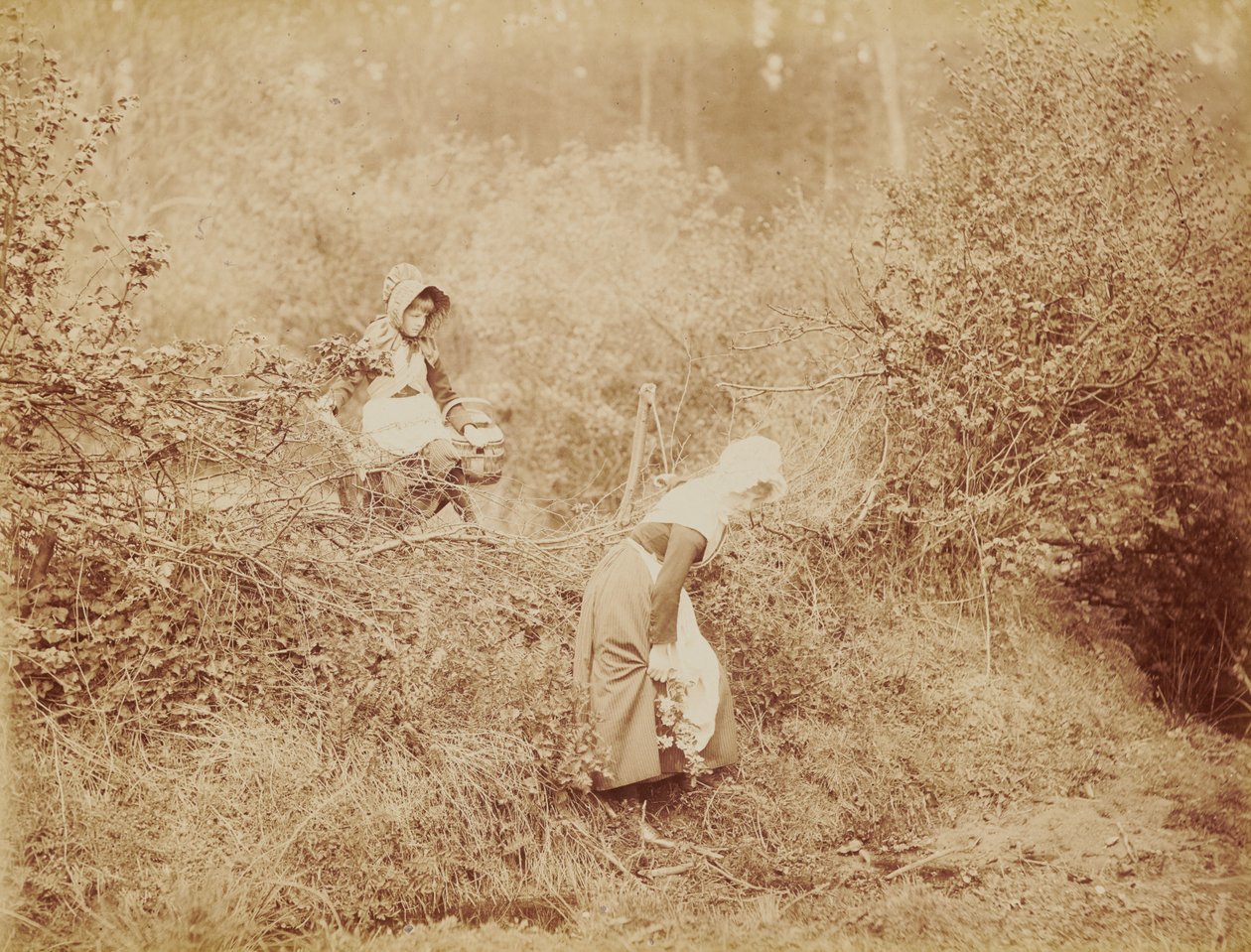 Przez żywopłot i rów autorstwa Henry Peach Robinson