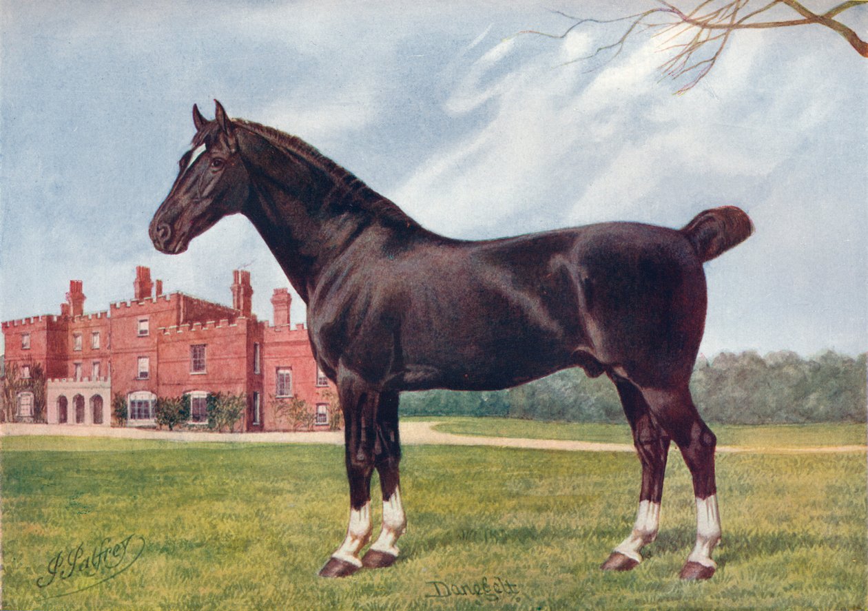 Ogier Hackney Danegelt, c1905 c1910 autorstwa Henry Powell Palfrey