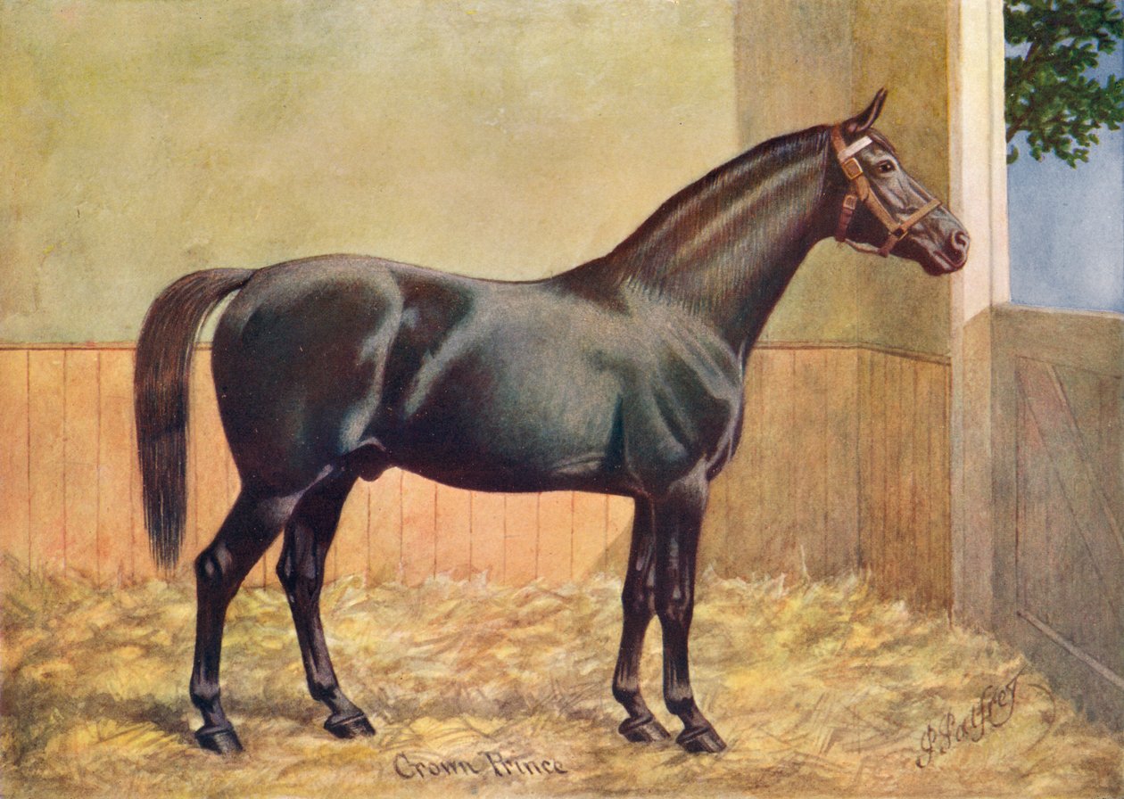 Yorkshire Coach Horse ogier Crown Prince, 1902 c1910 autorstwa Henry Powell Palfrey