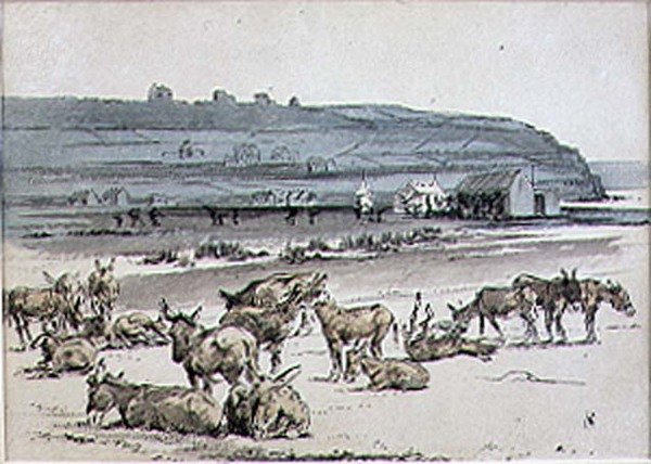 Osły na polu golfowym, ilustracja z magazynu „Graphic”, wyd. c.1870 (lito) autorstwa Henry Sandercock