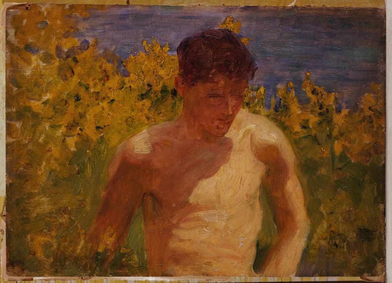 Johnny Kurtka autorstwa Henry Scott Tuke