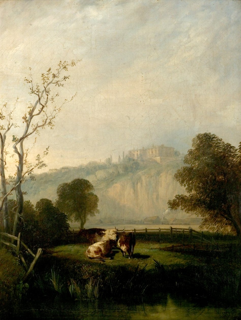 Nottingham Meadows, 1847 r. autorstwa Henry Smyth