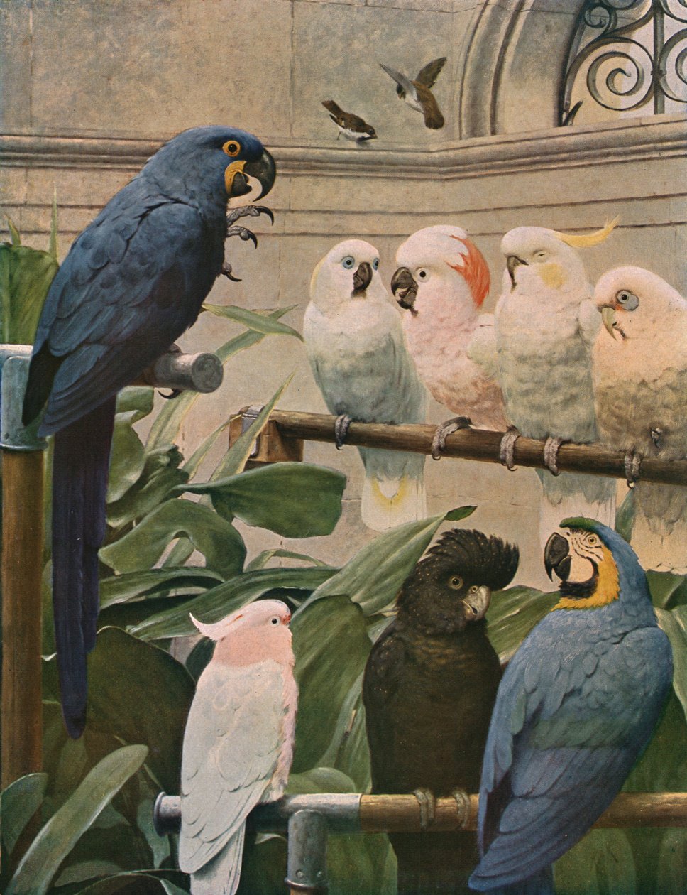 Komisja Specjalna, 1891, c1930. autorstwa Henry Stacey Marks