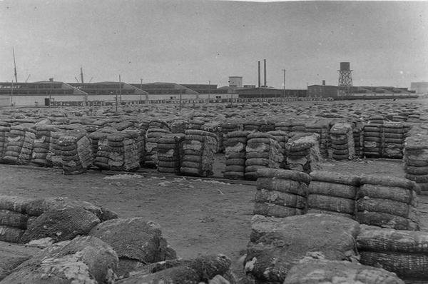 Kompres Moody, Galveston (zdjęcie czarno-białe) autorstwa Henry Stark