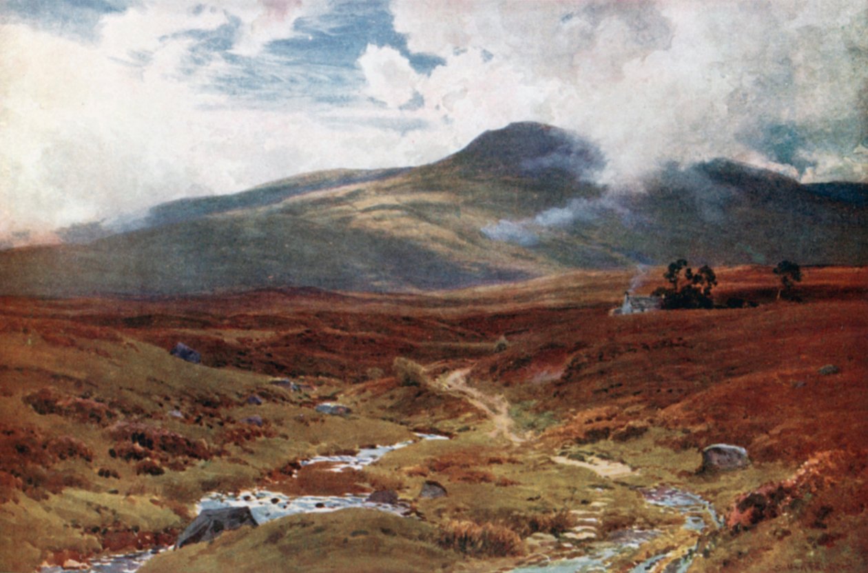 Wrzosowisko w pobliżu Killin, Perthshire (kolorowa litografia) autorstwa Henry Sutton Palmer