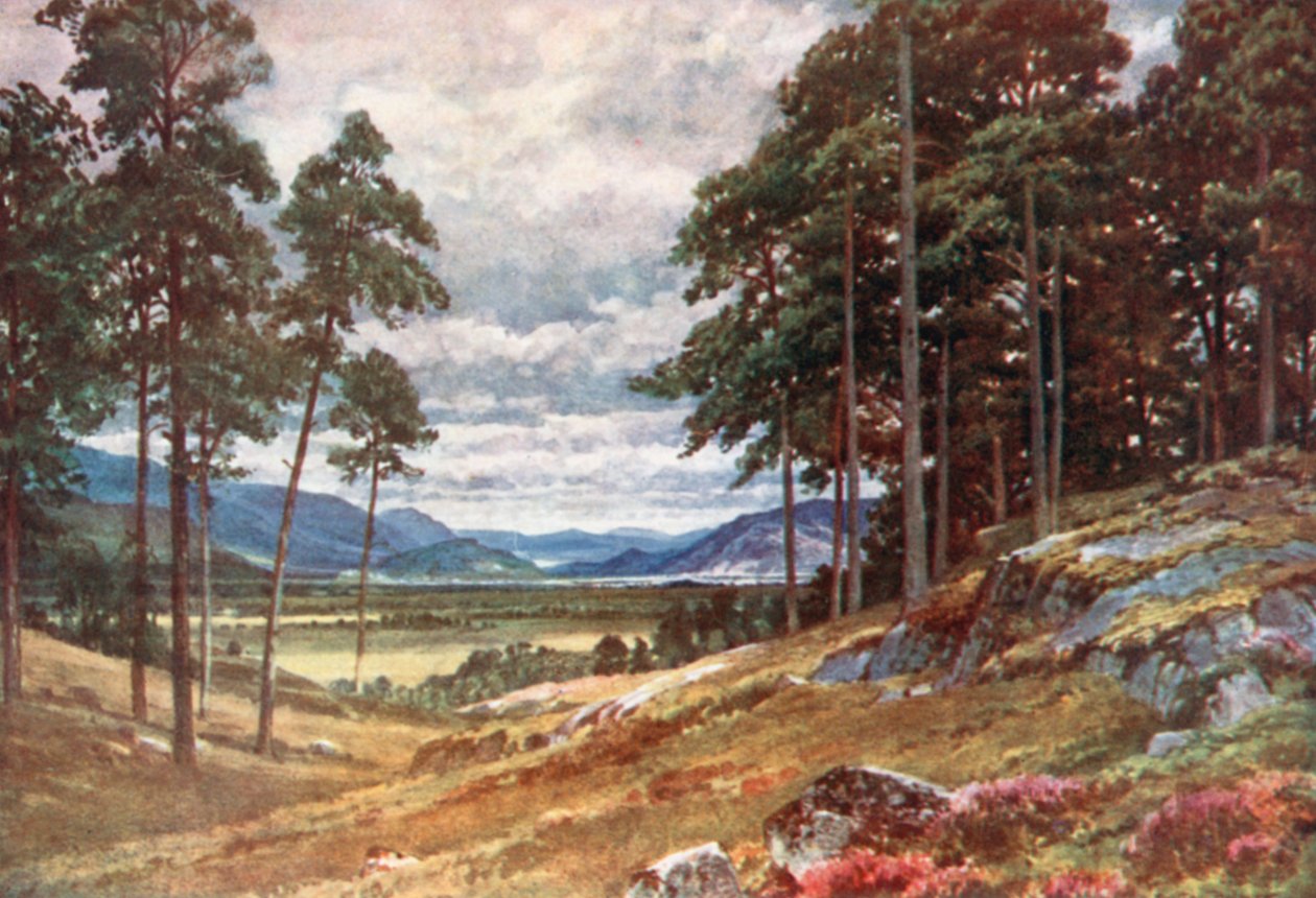  autorstwa Henry Sutton Palmer