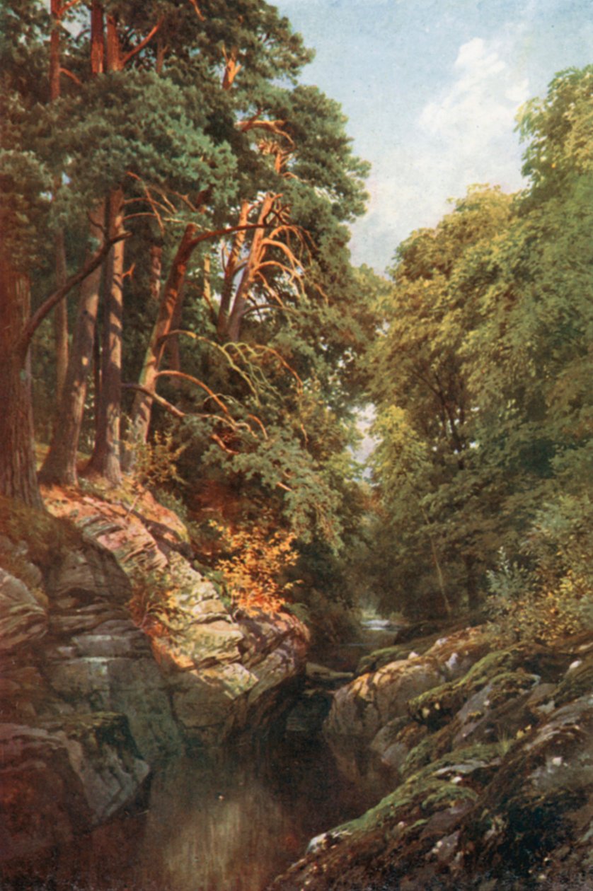  autorstwa Henry Sutton Palmer