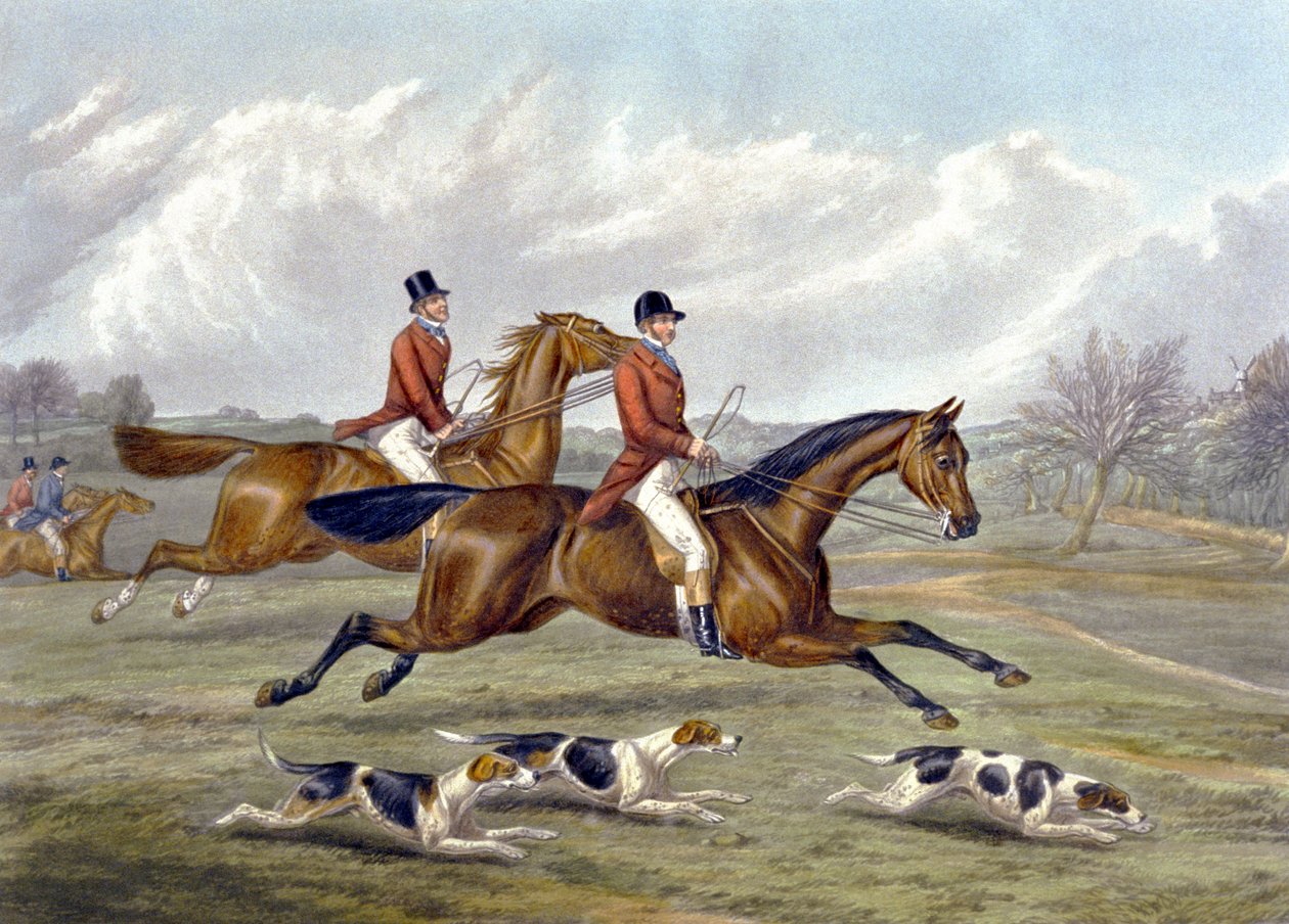 Full Cry, płyta z „The Right and The Wrong Sort”, w Fores Hunting Sketches, grawerowane przez Johna Harrisa autorstwa Henry Thomas (after) Alken