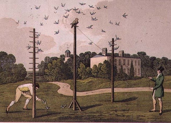 Owling, grawerowane przez I. Clarka, wyd. T. McLean, Londyn autorstwa Henry Thomas (after) Alken