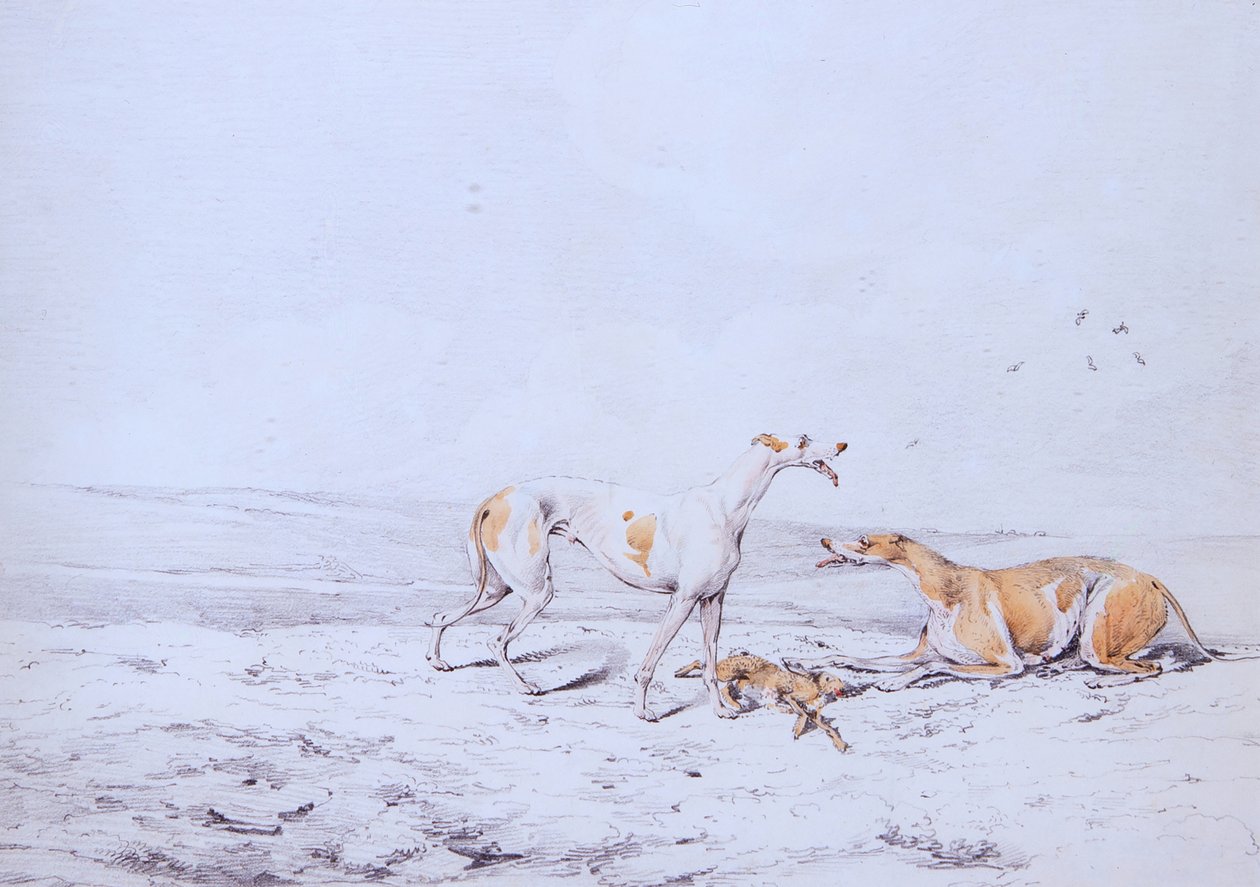 Coursing, Para (akwarela) autorstwa Henry Thomas Alken