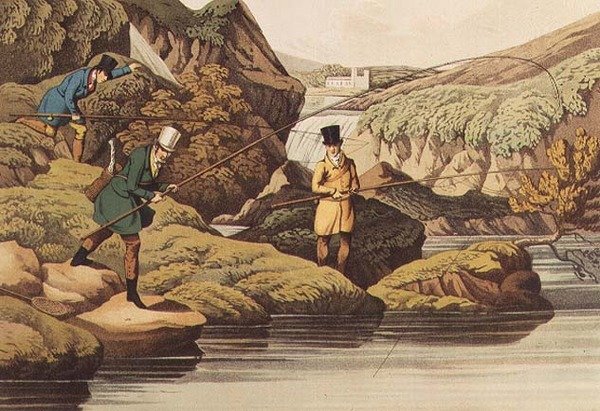 Łosoś Łososia, auqatinted przez I. CLark, wyd. Thomas McLean, 1820 (akwatinta) autorstwa Henry Thomas Alken