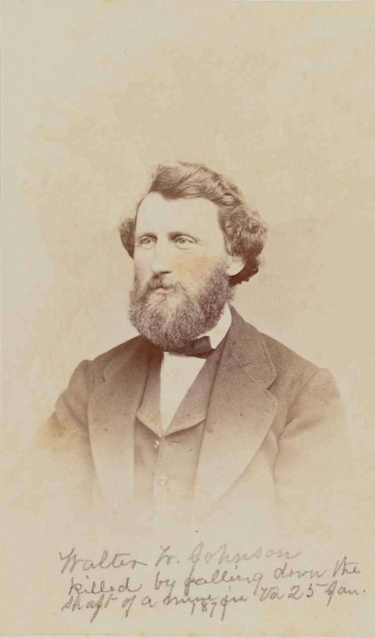 Carte-de-visit portret Waltera W. Johnsona, 1868. autorstwa Henry Ulke