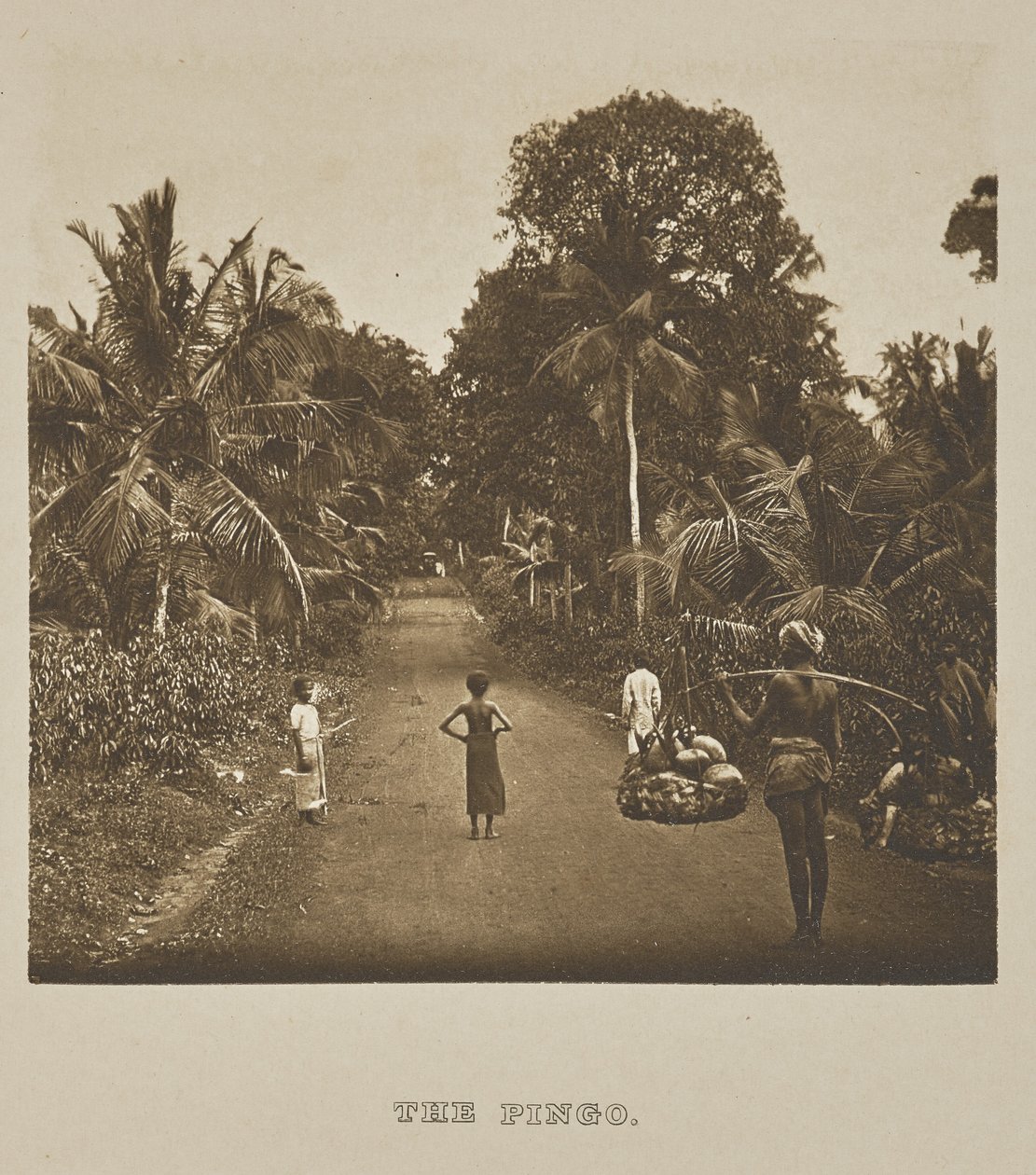 Pingo autorstwa Henry W. Cave