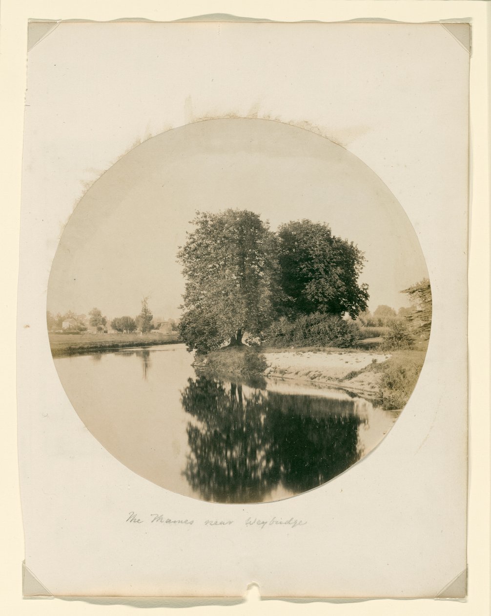 Bez tytułu autorstwa Henry White