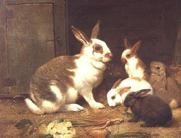 Karmienie królików autorstwa Henry William Carter
