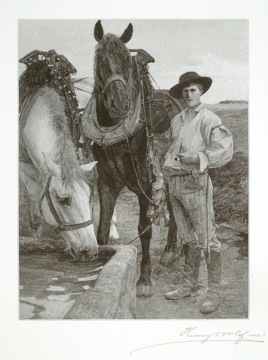 Konie przy korycie autorstwa Henry Wolf