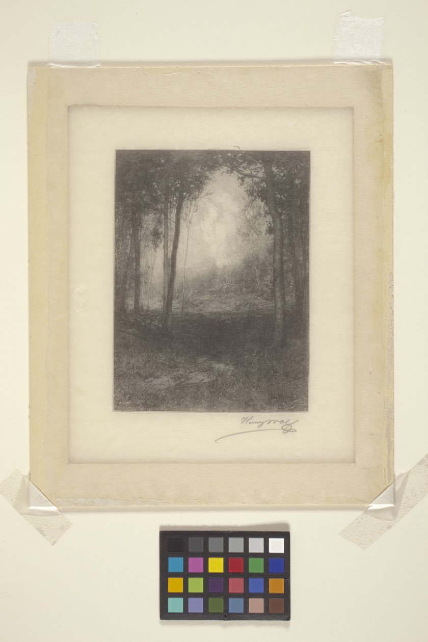 W Adirondacks (atrament) autorstwa Henry Wolf