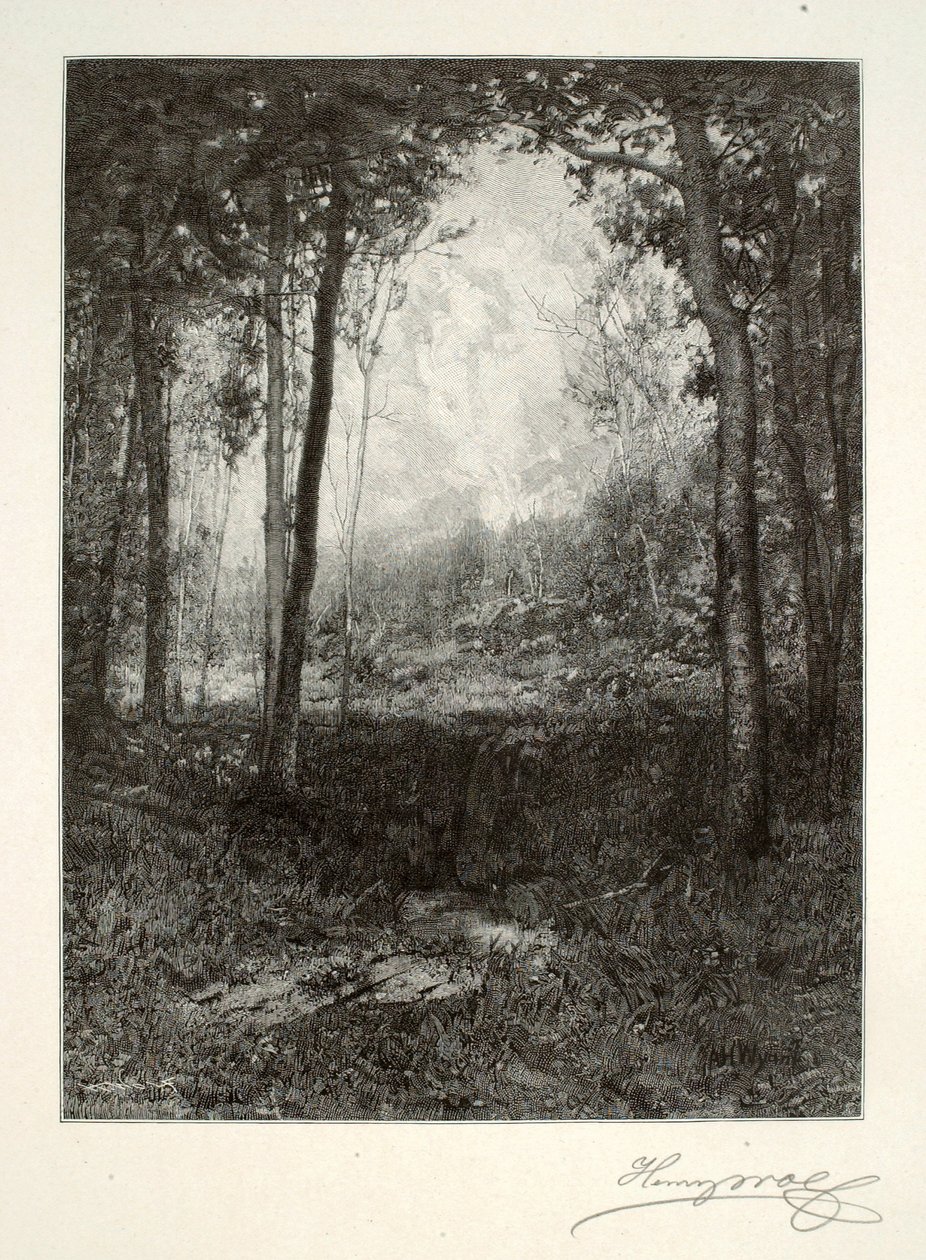 W Adirondacks autorstwa Henry Wolf
