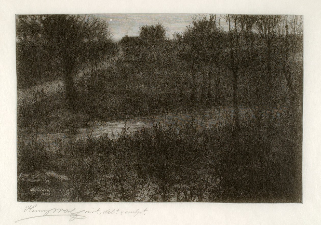 Gwiazda Wieczorna (motyw znaleziony w Catskills) autorstwa Henry Wolf