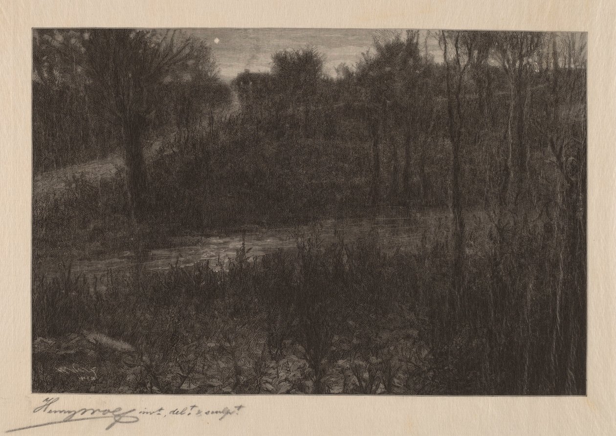 Wieczorna Gwiazda autorstwa Henry Wolf