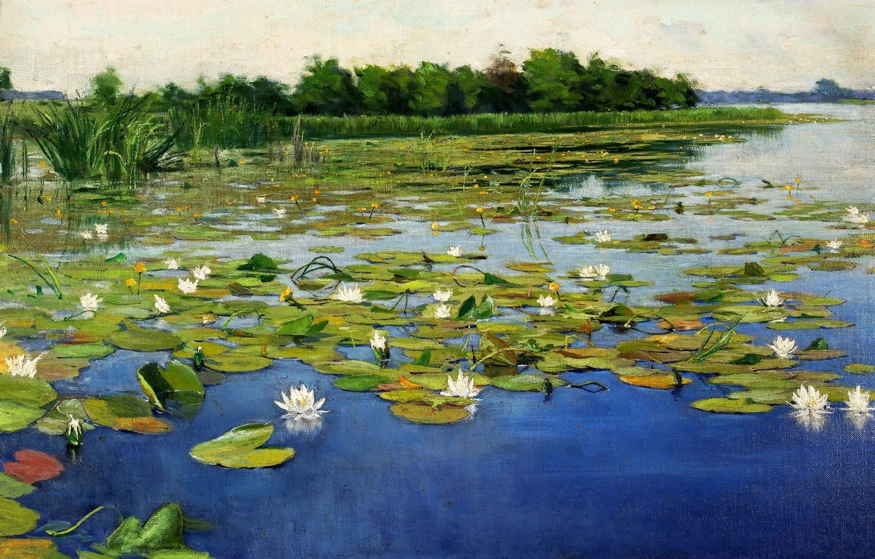 Lilie wodne autorstwa Henryk Weyssenhoff