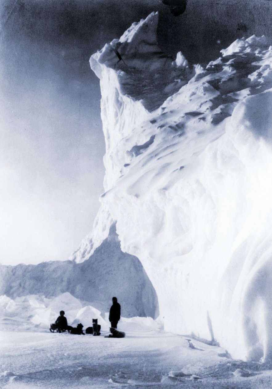 Zaprzęg psów odpoczywa podczas wyprawy Terra Nova, 1910 autorstwa Herbert Ponting