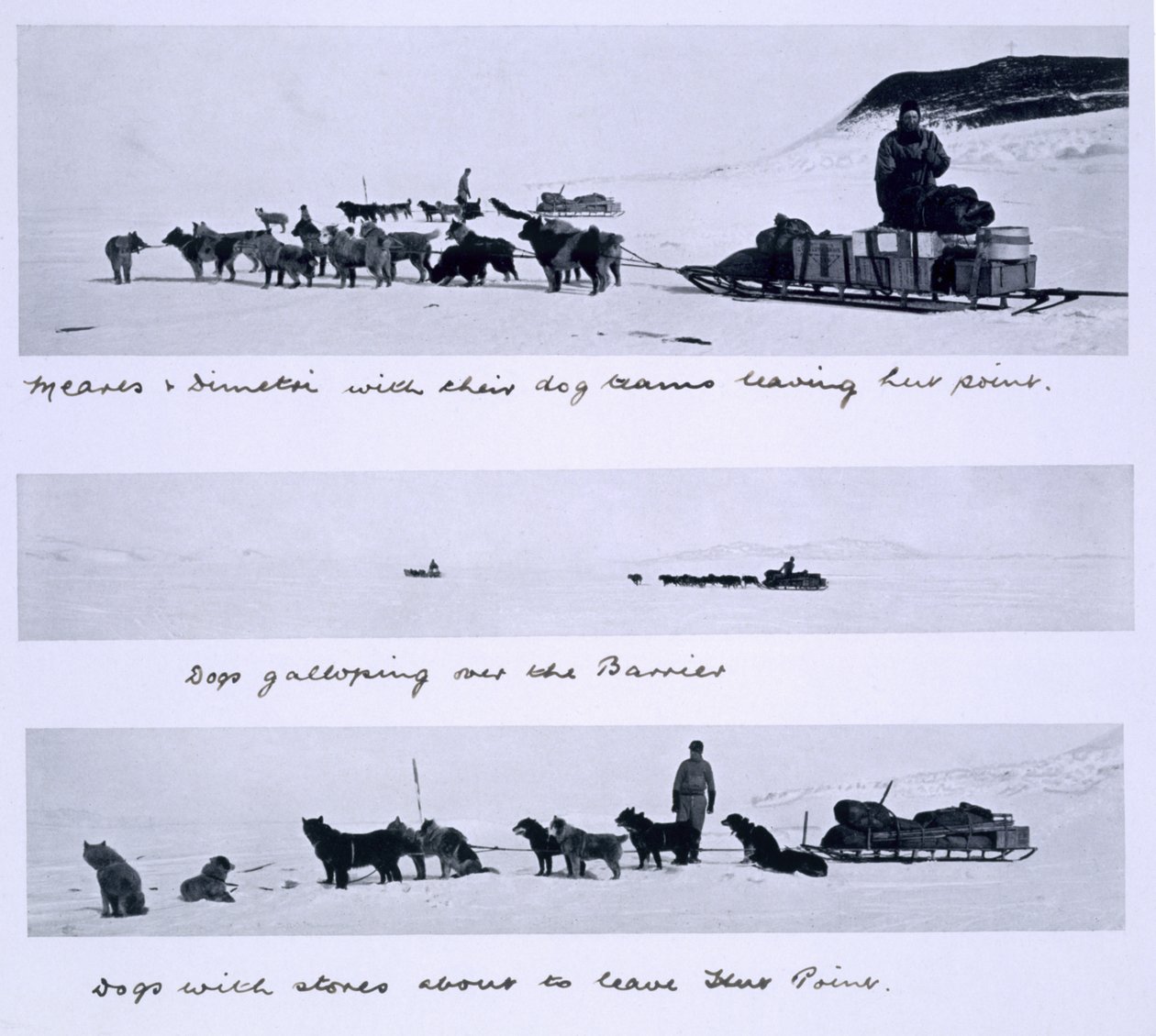 Trzy widoki psich zaprzęgów prowadzonych przez Mearesa i Dimetriego podczas wyprawy „Terra Nova” (1910-13) na Biegun Południowy pod przewodnictwem kapitana Scotta autorstwa Herbert Ponting