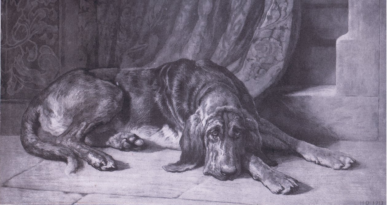 Sentinel, Bibby