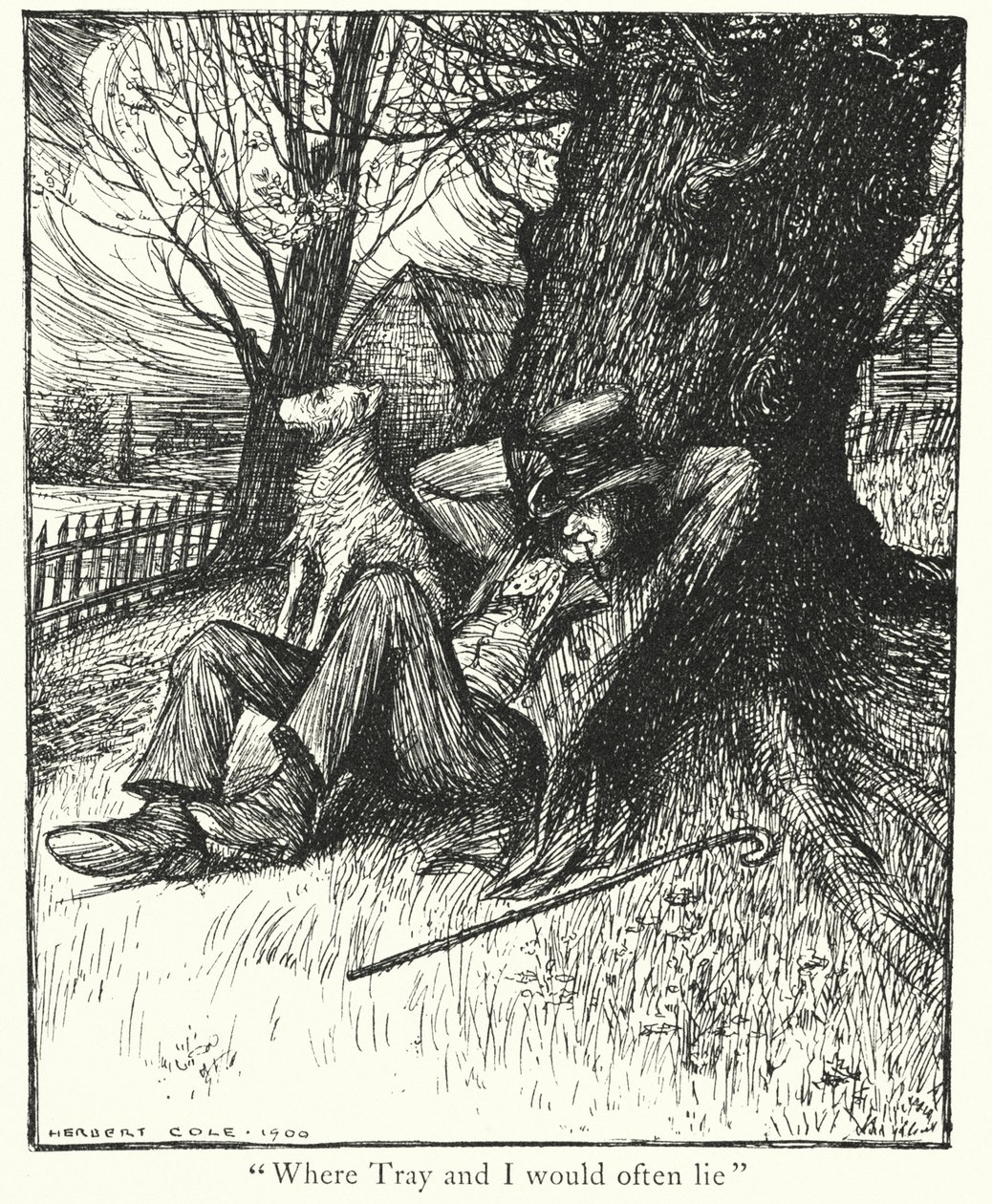  autorstwa Herbert Cole